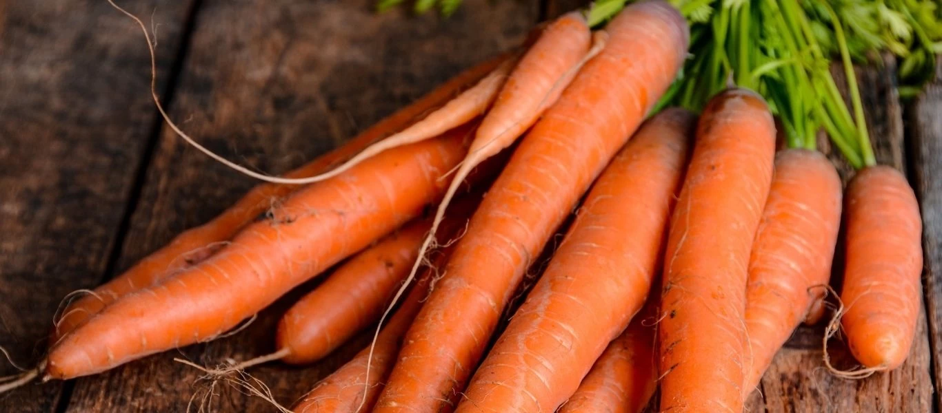 Οι 4+1 τροφές που μειώνουν τον κίνδυνο ανάπτυξης καρκίνου